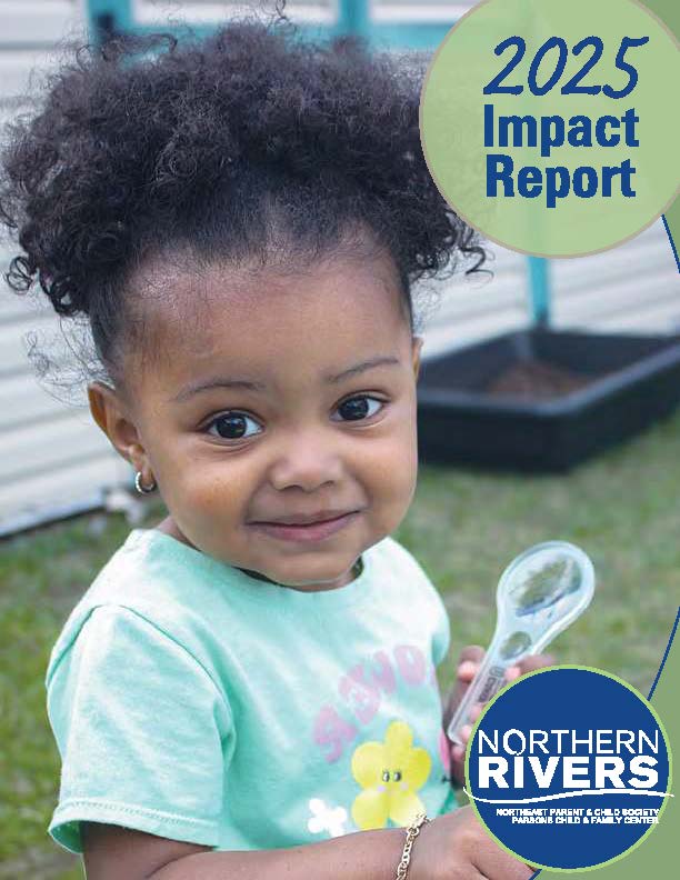 NRFS 2024 IMPACT REPORT cover RGB